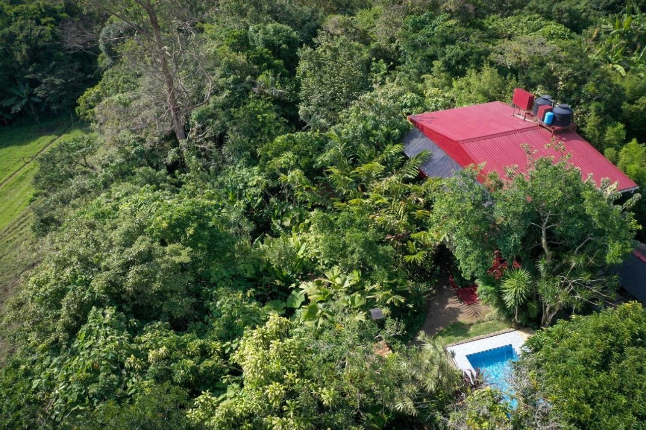 La Boruca Bed and Breakfast San Isidro  Eksteriør billede