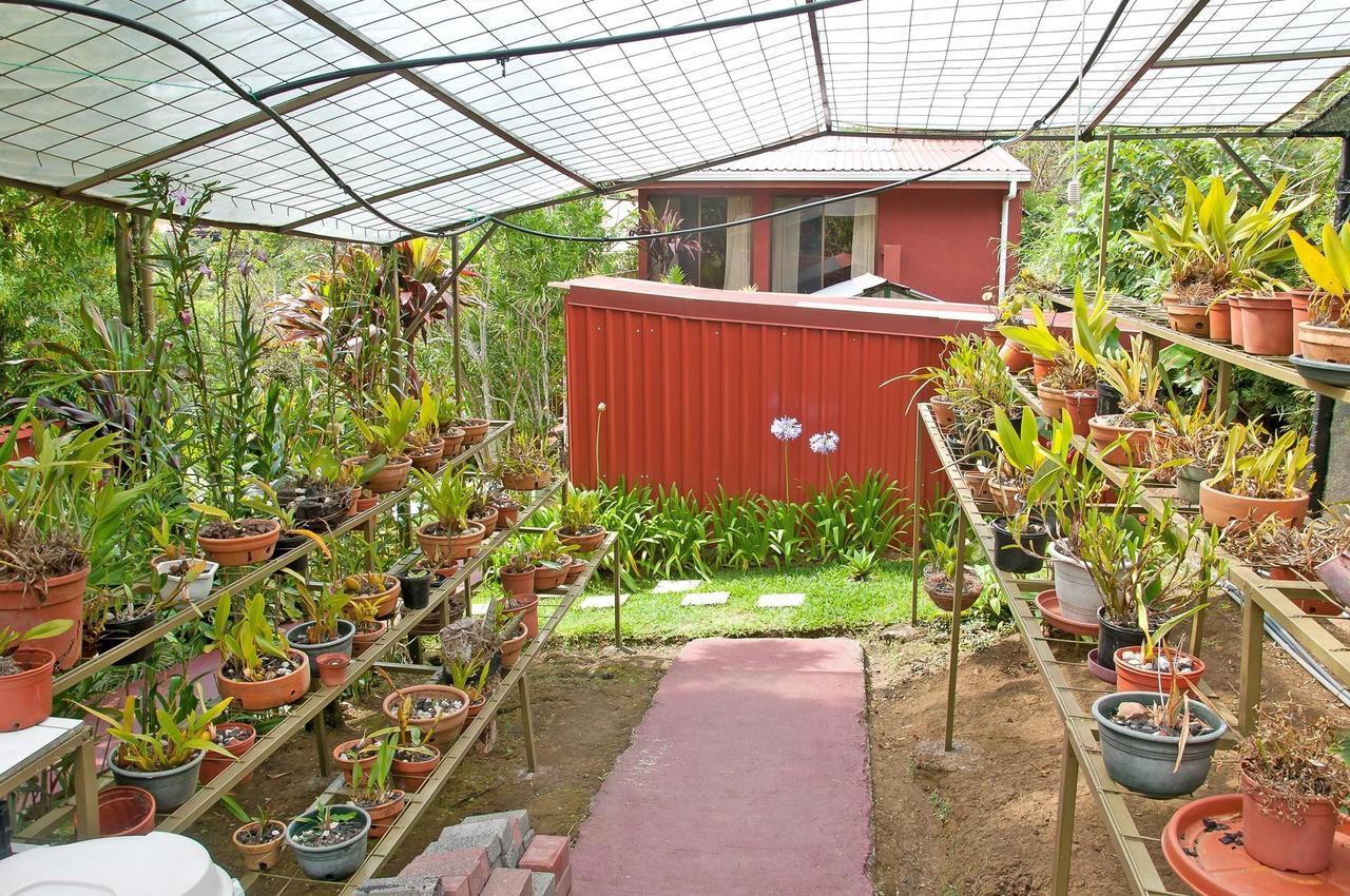 La Boruca Bed and Breakfast San Isidro  Eksteriør billede