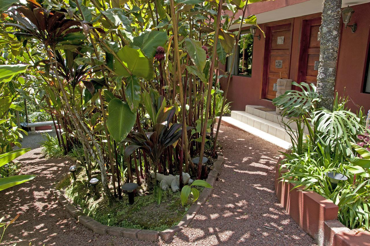 La Boruca Bed and Breakfast San Isidro  Eksteriør billede